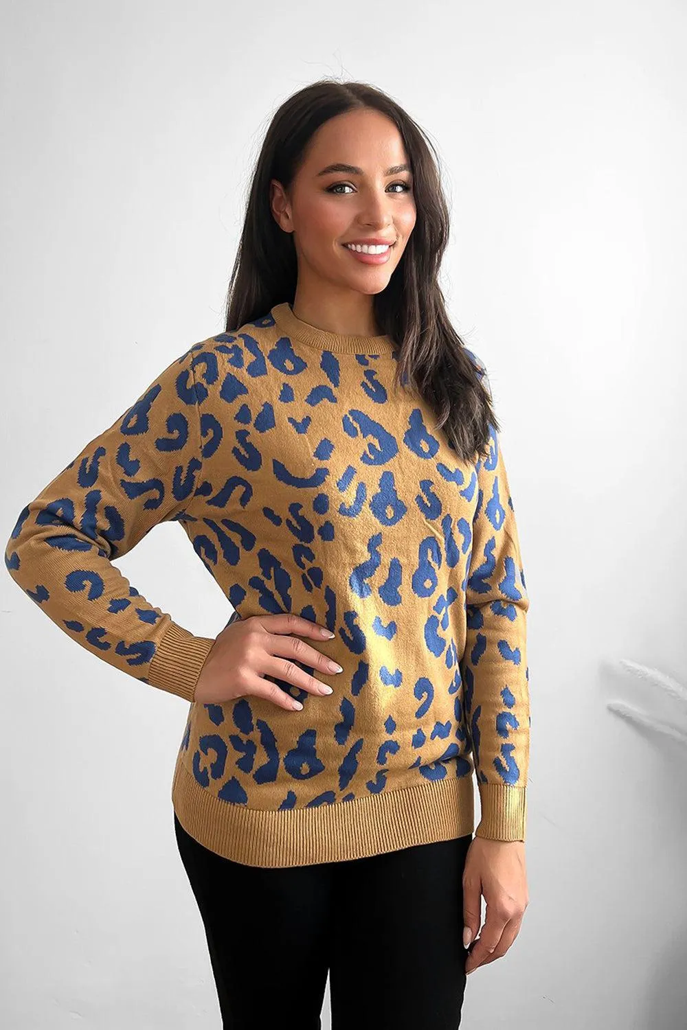 Contrast Leopard Pattern Knitted Pullover