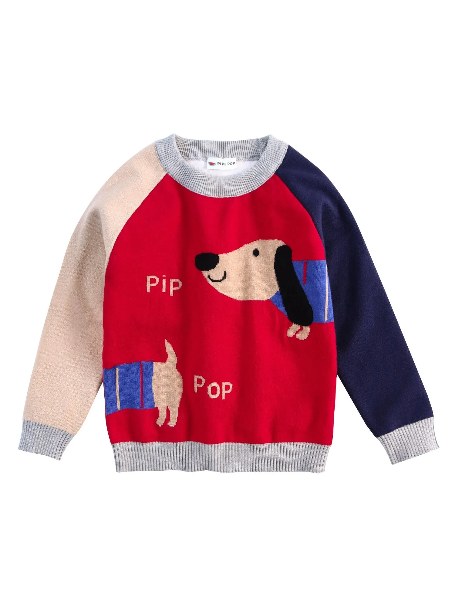 Cute Dog Pattern Color Block Little Boys Knitted Sweater