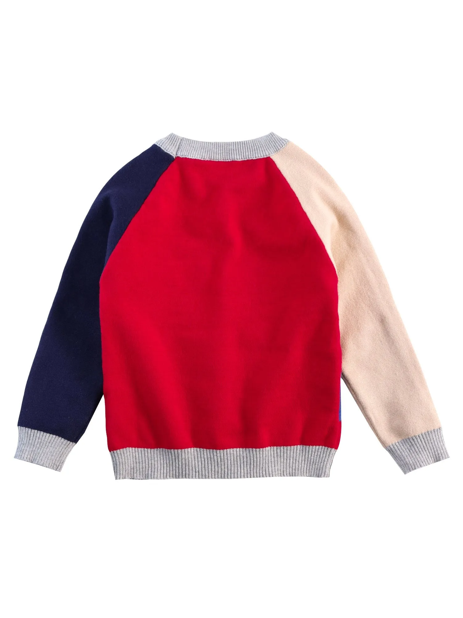 Cute Dog Pattern Color Block Little Boys Knitted Sweater