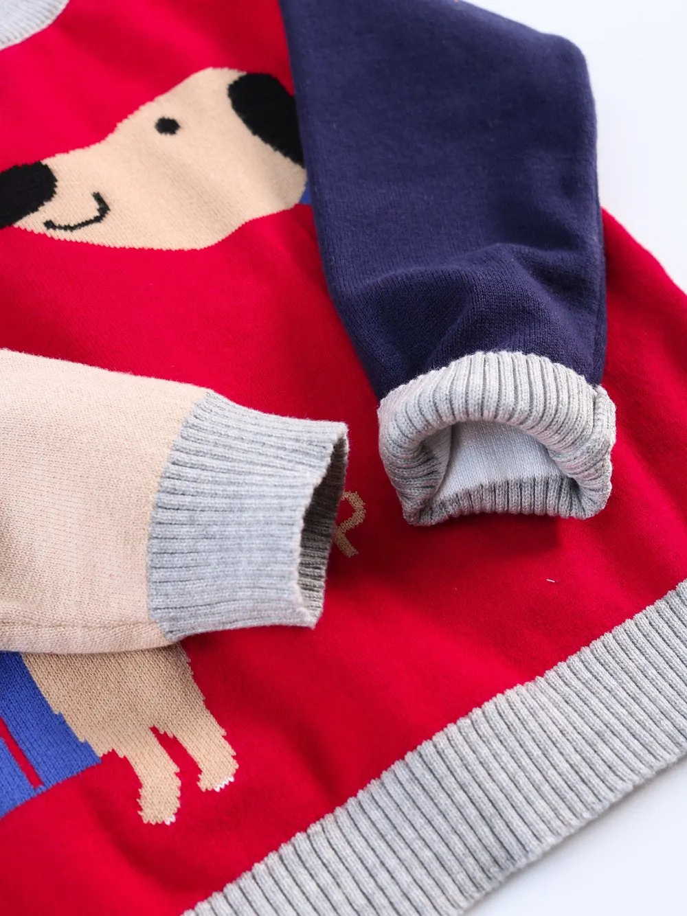 Cute Dog Pattern Color Block Little Boys Knitted Sweater