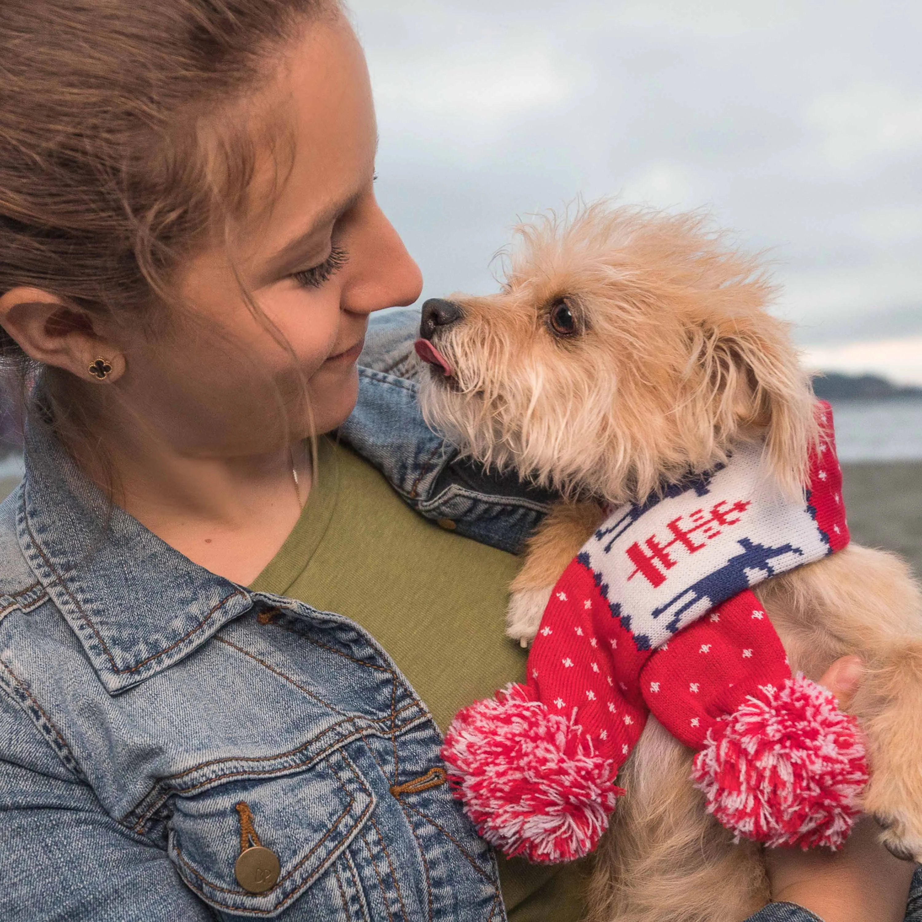 Holiday Family Matching Sweater in Tango Red