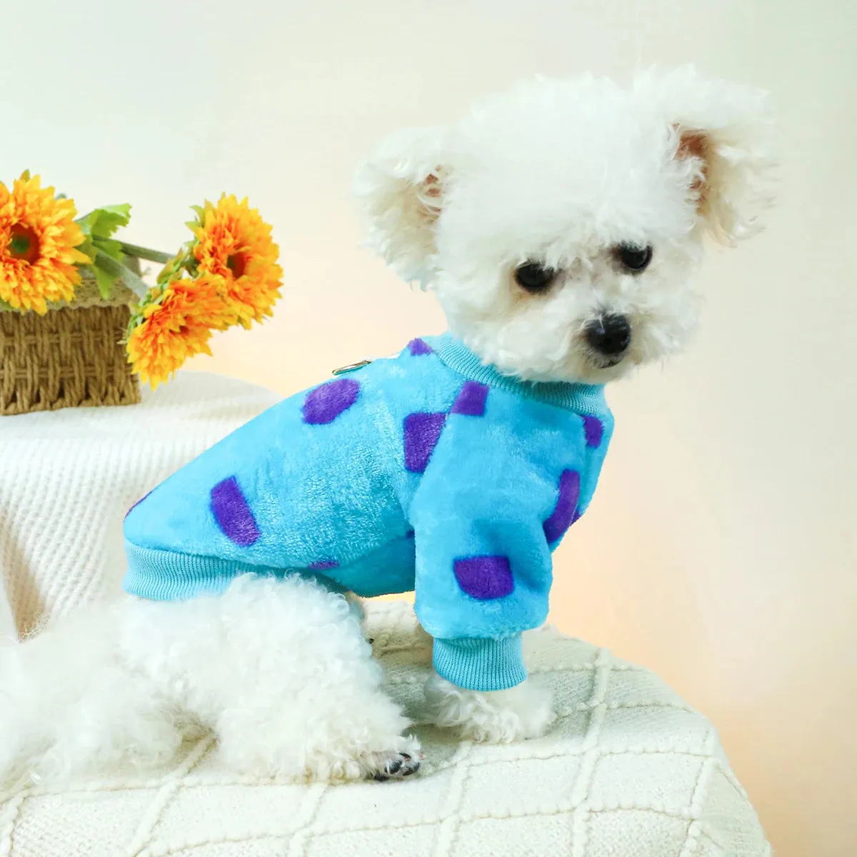 Monster Cozy Elegance: Autumn and Winter Plush Pet Pullover - Thickened Warmth with Drawstring Buckle for Small to Medium Dogs